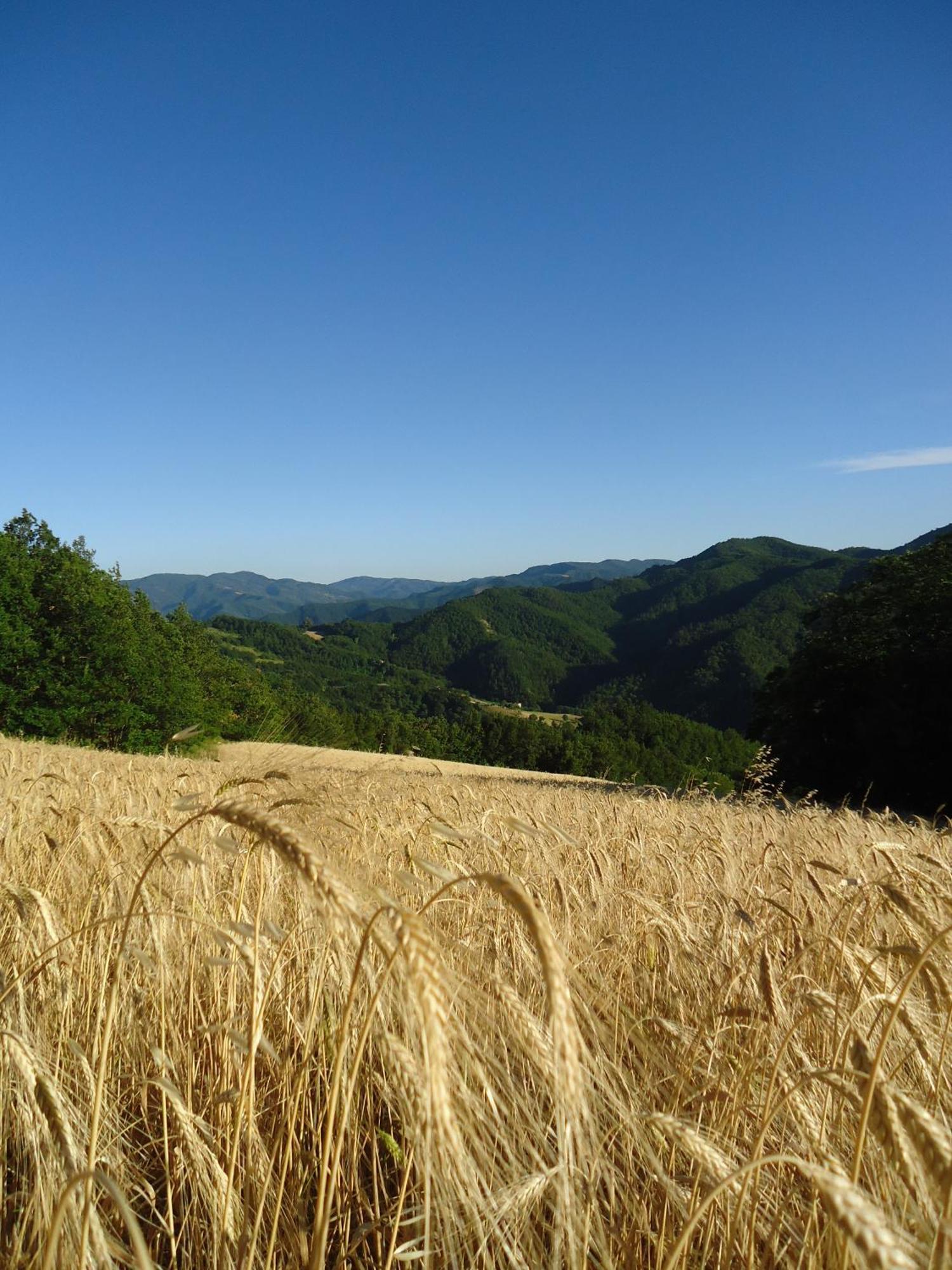 Agriturismo I Monti Di Salecchio 팔라쭐로술세뇨 외부 사진