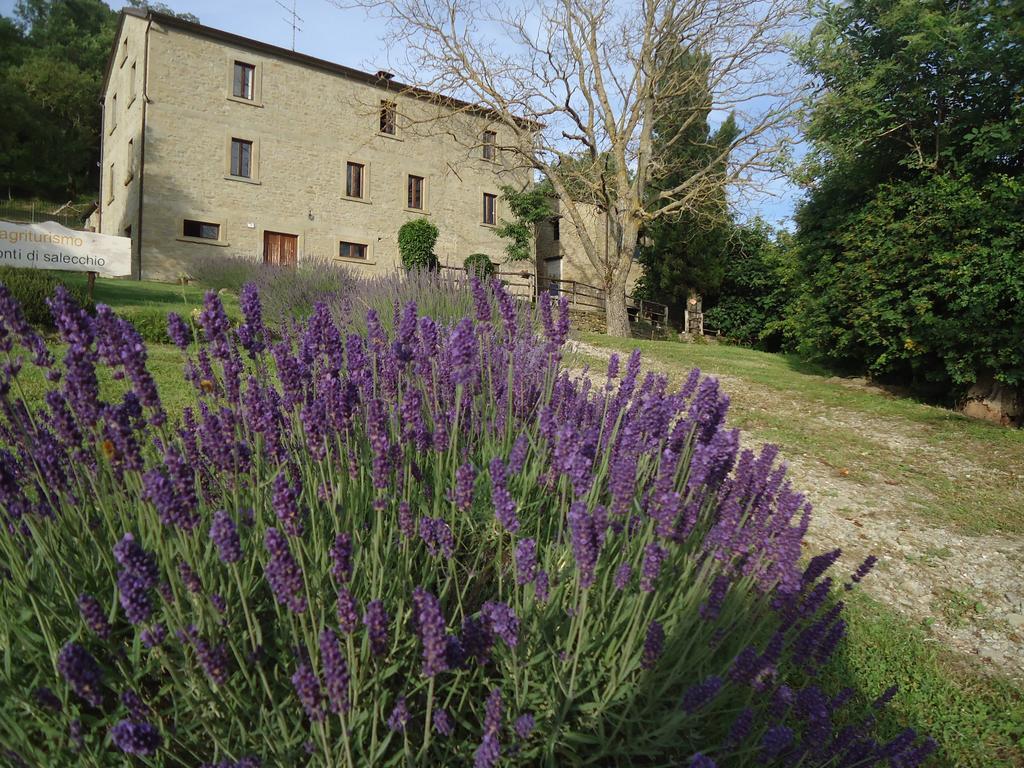 Agriturismo I Monti Di Salecchio 팔라쭐로술세뇨 외부 사진