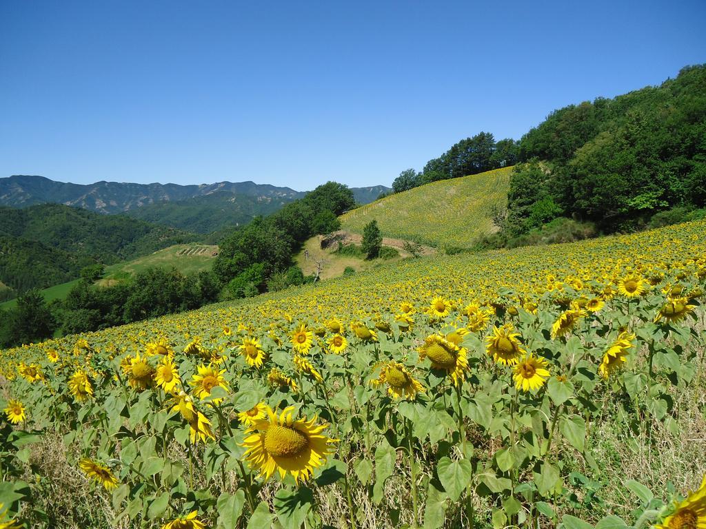 Agriturismo I Monti Di Salecchio 팔라쭐로술세뇨 외부 사진