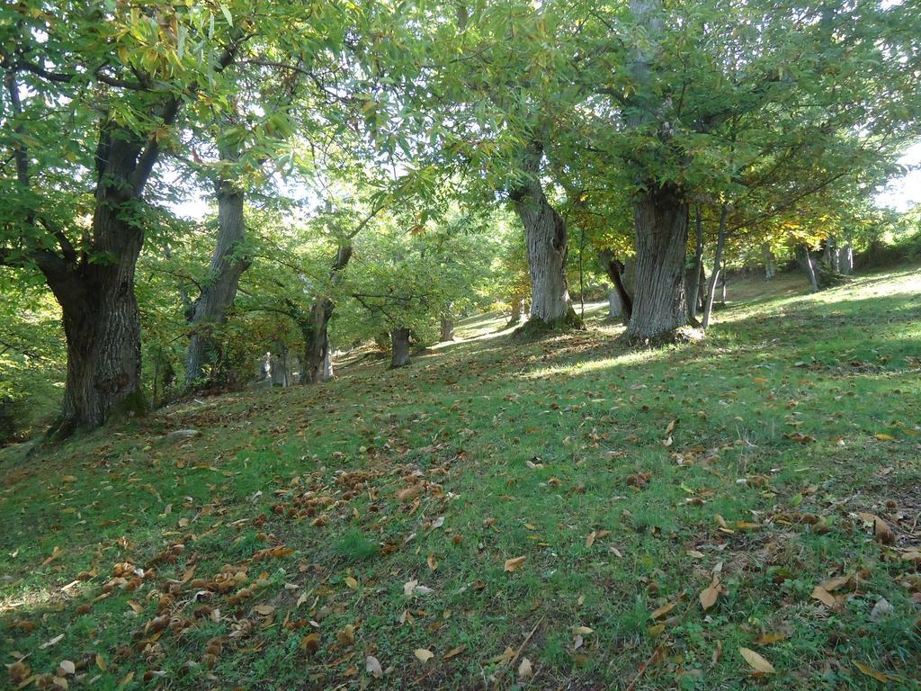 Agriturismo I Monti Di Salecchio 팔라쭐로술세뇨 외부 사진