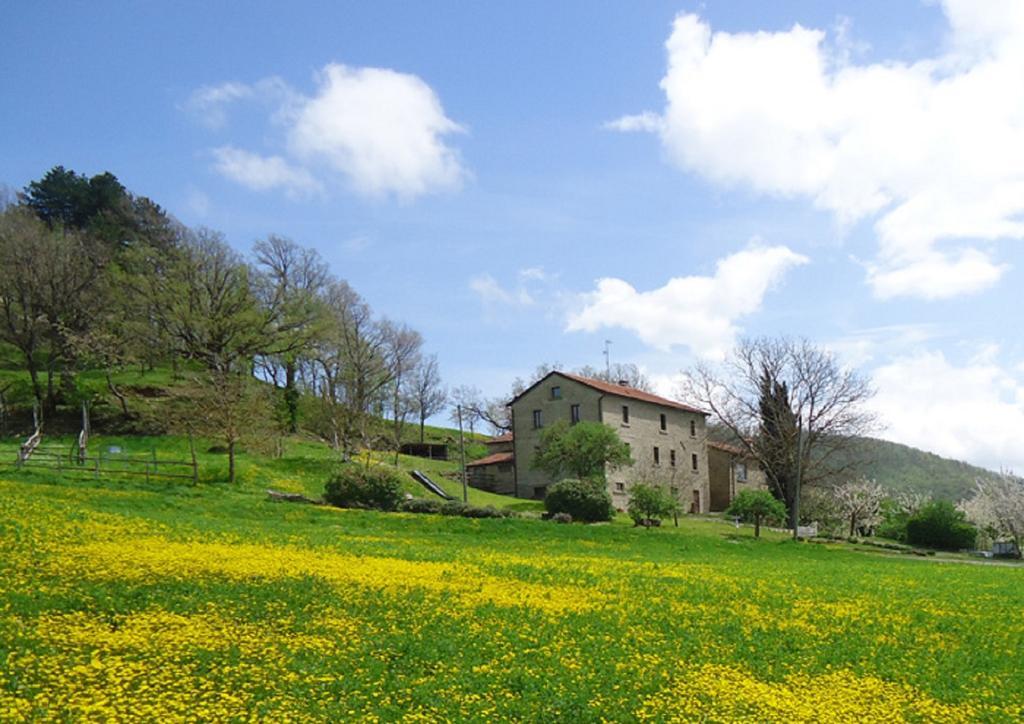 Agriturismo I Monti Di Salecchio 팔라쭐로술세뇨 외부 사진